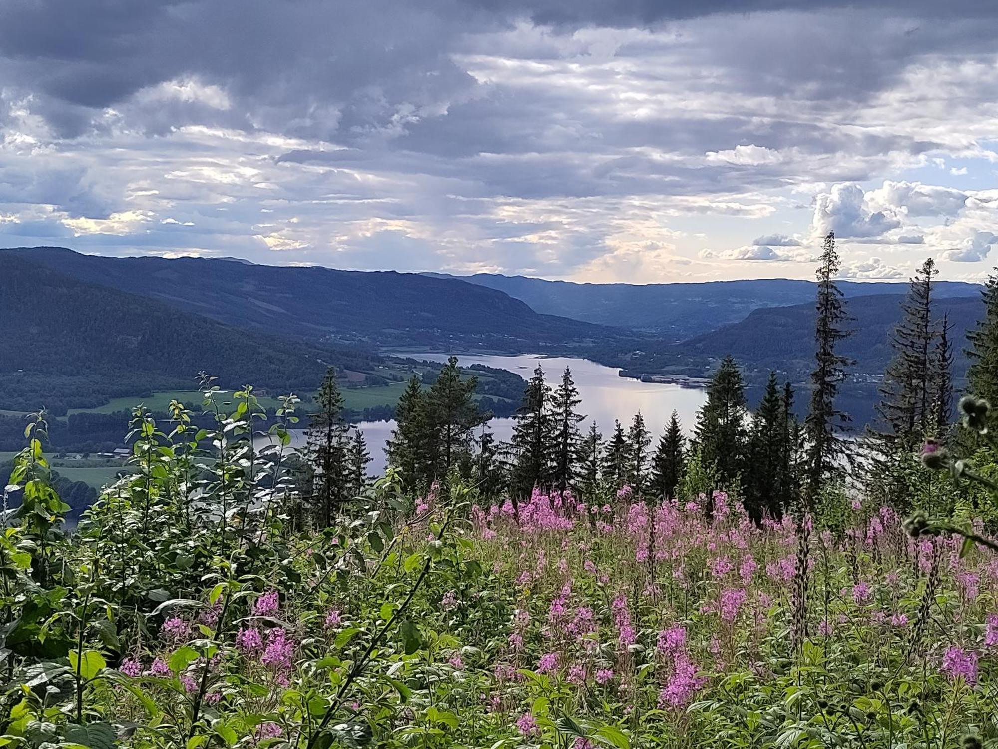 Hotel Granum Gard Fluberg Zewnętrze zdjęcie